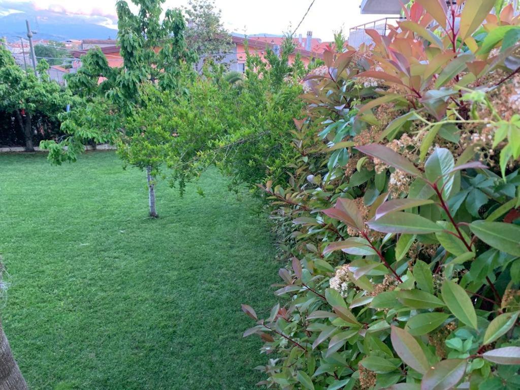 B&B The Garden Пескара Екстериор снимка